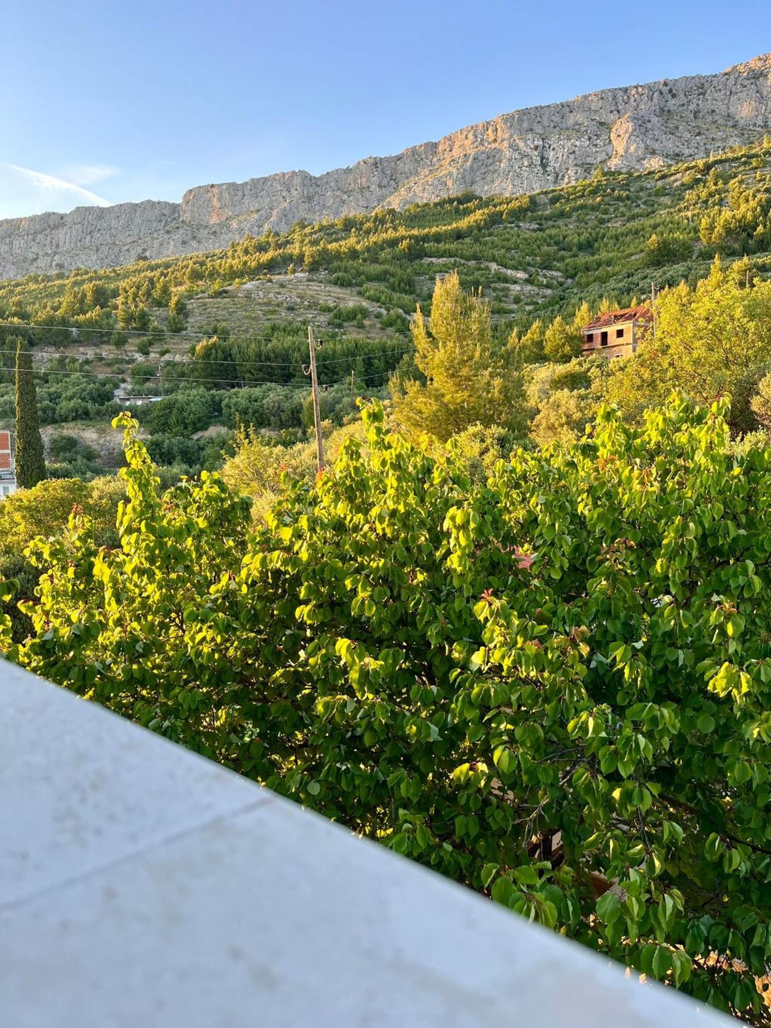 Apartments Curnic Jesenice  Εξωτερικό φωτογραφία